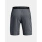 Under Armour M 1370382-012 Shorts Clothing/Training Your Sports Performance