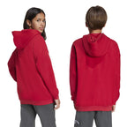 Adidas Liverpool FC Hoody Junior JW7879 sweatshirt adidas