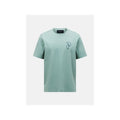 PEAK PERFORMANCE M Original Graphic Tee, green