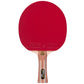 Atemi 500 table tennis bats Accessories/Rackets and accessories Your Sports Performance