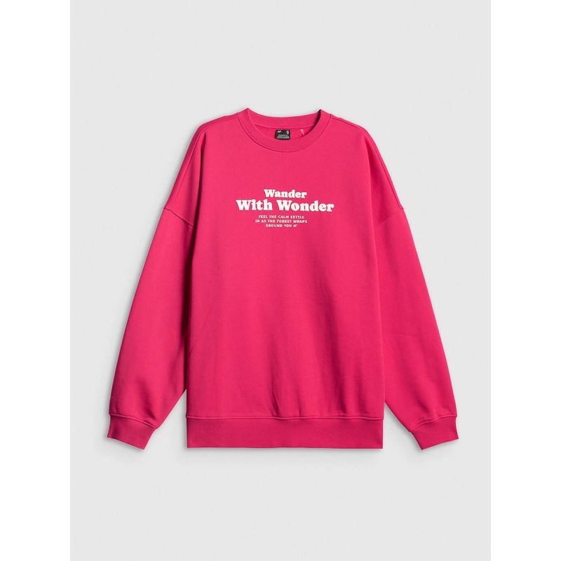 Women's oversize sweatshirt without hood 4F 4FRSS26TSWSF2993-53S 4f