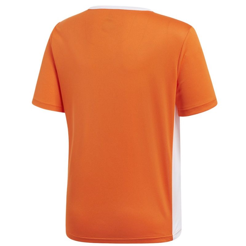 T-shirt adidas Entrada 18 JSY Y Jr CF1043 Clothing/Football Adidas
