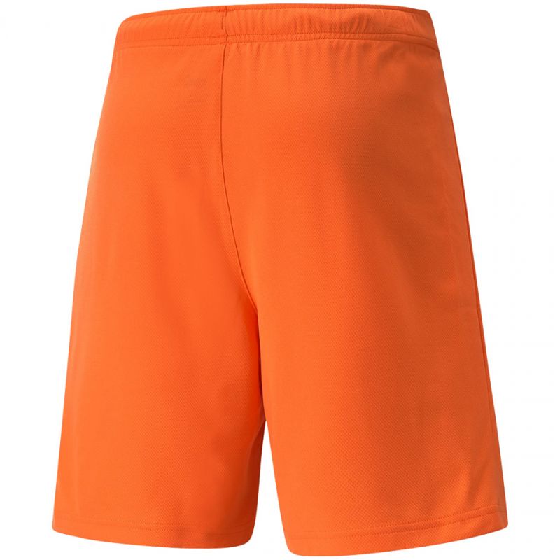 Puma teamRise Short Prist M 704942 08 Clothing/Training Puma