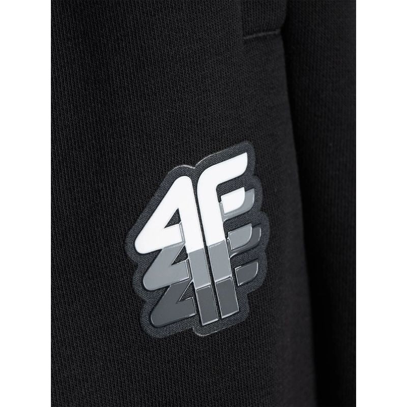 Men's jogger sweatpants 4F 4FRAW26TTROM2176-20S