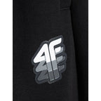 Men's jogger sweatpants 4F 4FRAW26TTROM2176-20S