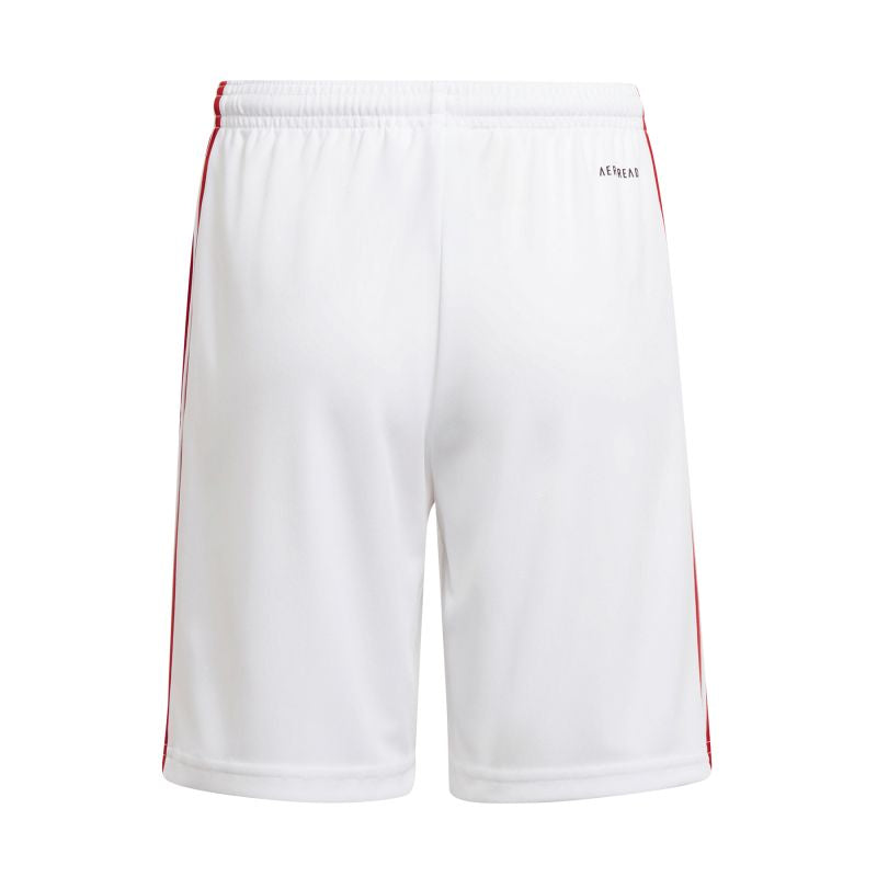 Shorts adidas Squadra 21 Jr GN5763 Clothing/Training Adidas