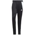 Adidas Tiro 24 Training M P1952 pants Clothing/Football Adidas