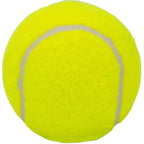 ENERO ACADEMY TENNIS BALL 3 PCS Accessories Your Sports Performance