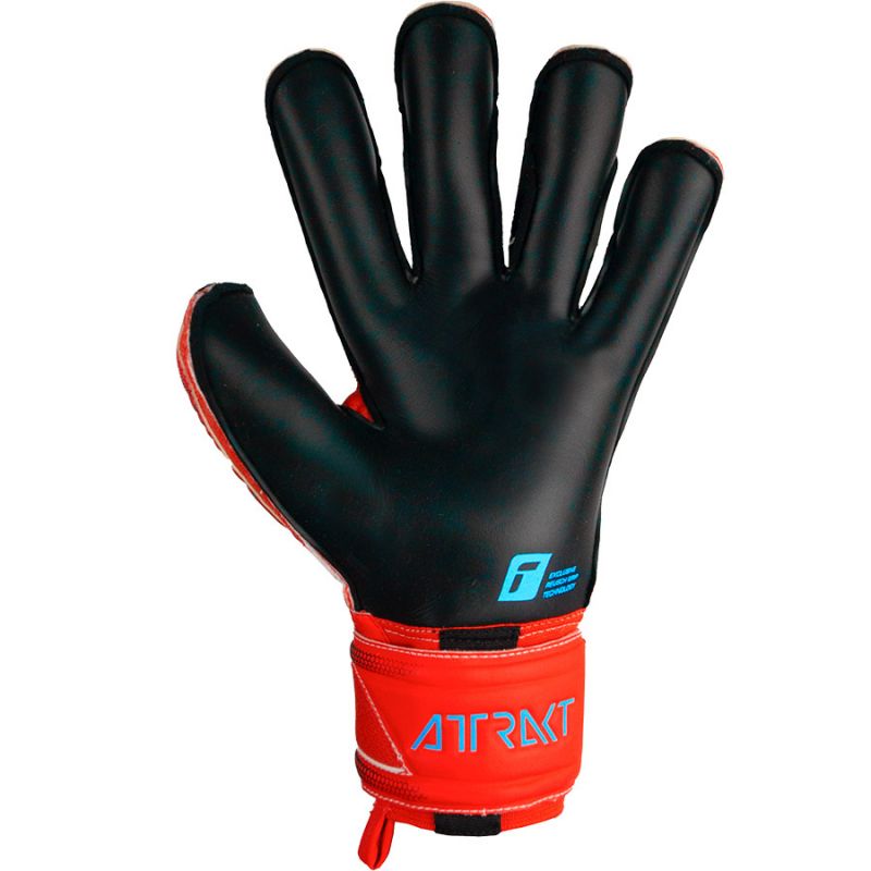 Reusch Attrakt Gold X Evolution Cut Finger Support M 53 70 950 3333 goalkeeper gloves Accessories/Gloves Your Sports Performance