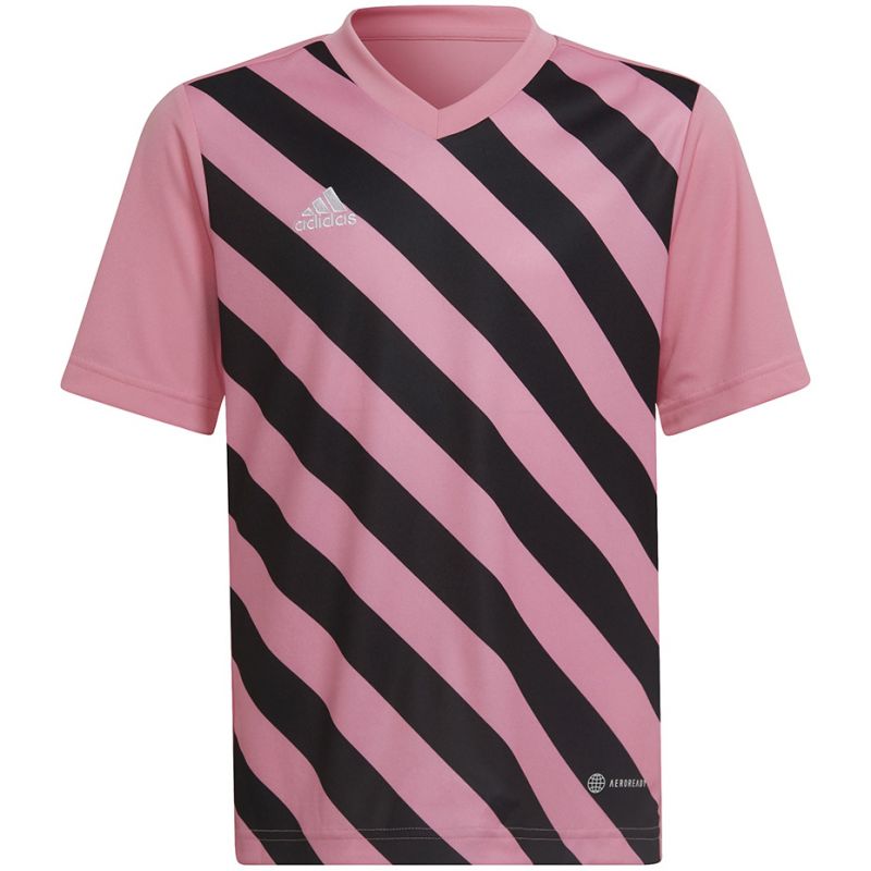 Adidas Entrada 22 Graphic Jersey Jr HC2632 Clothing/Training Adidas