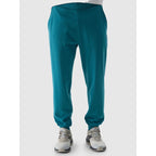 Pants 4F M 4FWSS24TTROM603 46S Clothing/Lifestyle/Trousers, shorts/4F 4F