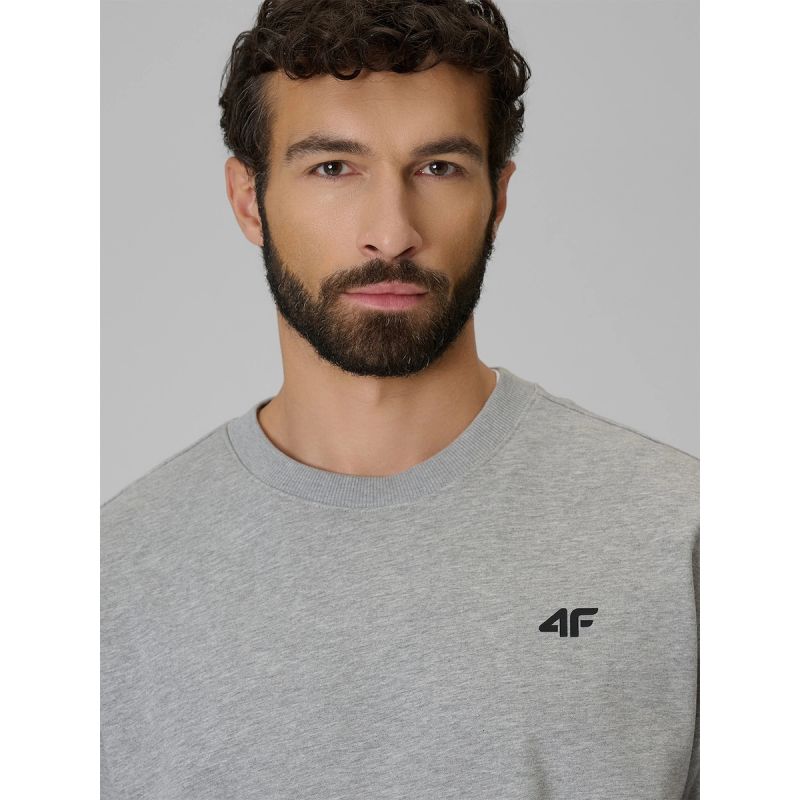 Men's regular sweatshirt without hood 4F 4FRMM00TSWSM3059-27M