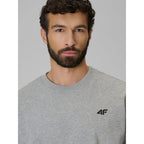 Men's regular sweatshirt without hood 4F 4FRMM00TSWSM3059-27M
