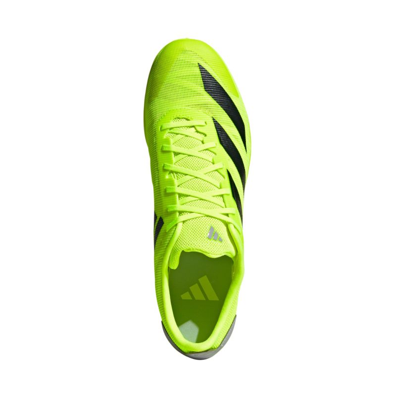 Shoes, spikes adidas Adizero spikes XCS IF9429 Footwear/Running/Men Adidas
