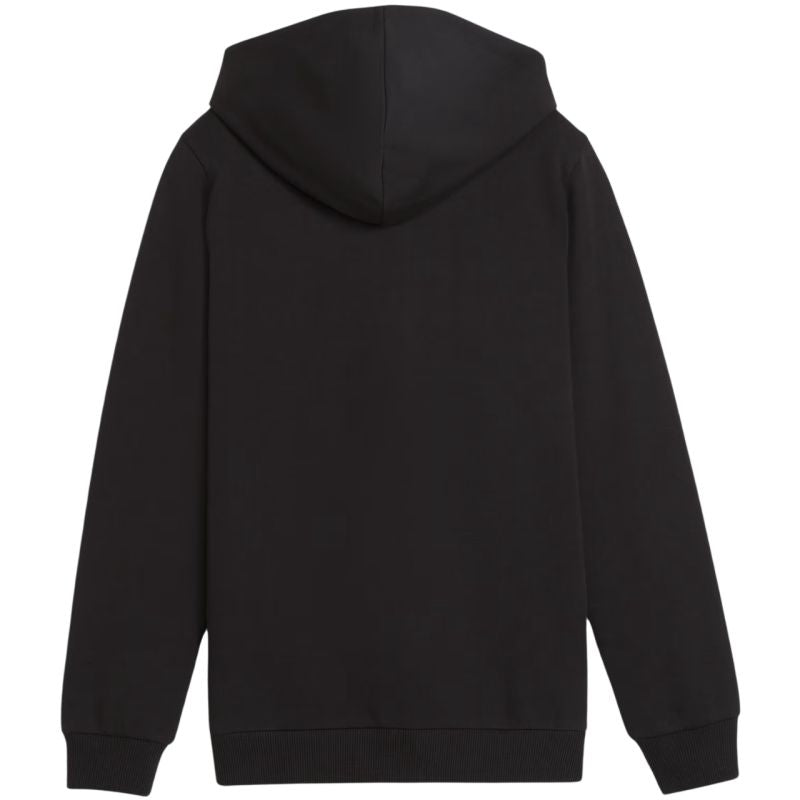 Puma teamGoal Casuals Hooded Jr sweatshirt 658596 03 Puma