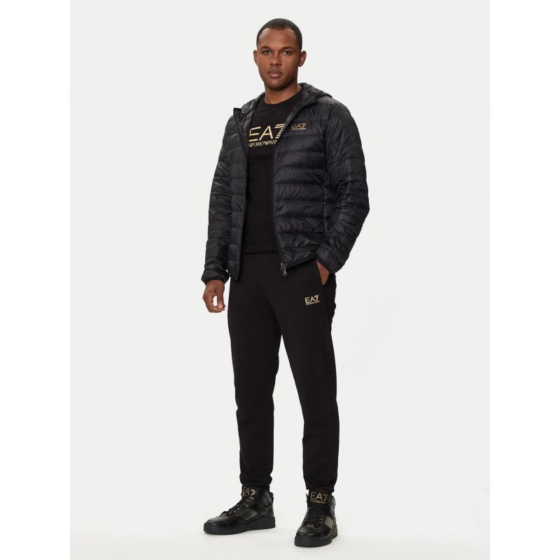 Hooded down jacket EA7 Emporio Armani M 8NPB24-PNGPZ-0208 Clothing/Lifestyle/Tommy Hilfiger Your Sports Performance