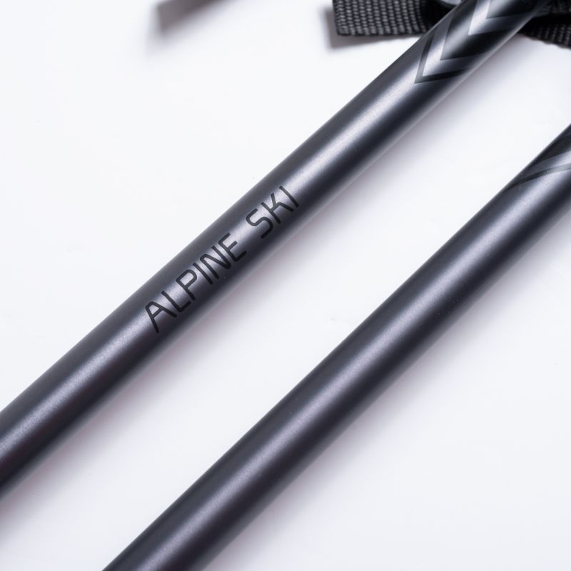 ALPINE SKI II poles In preparation Your Sports Performance
