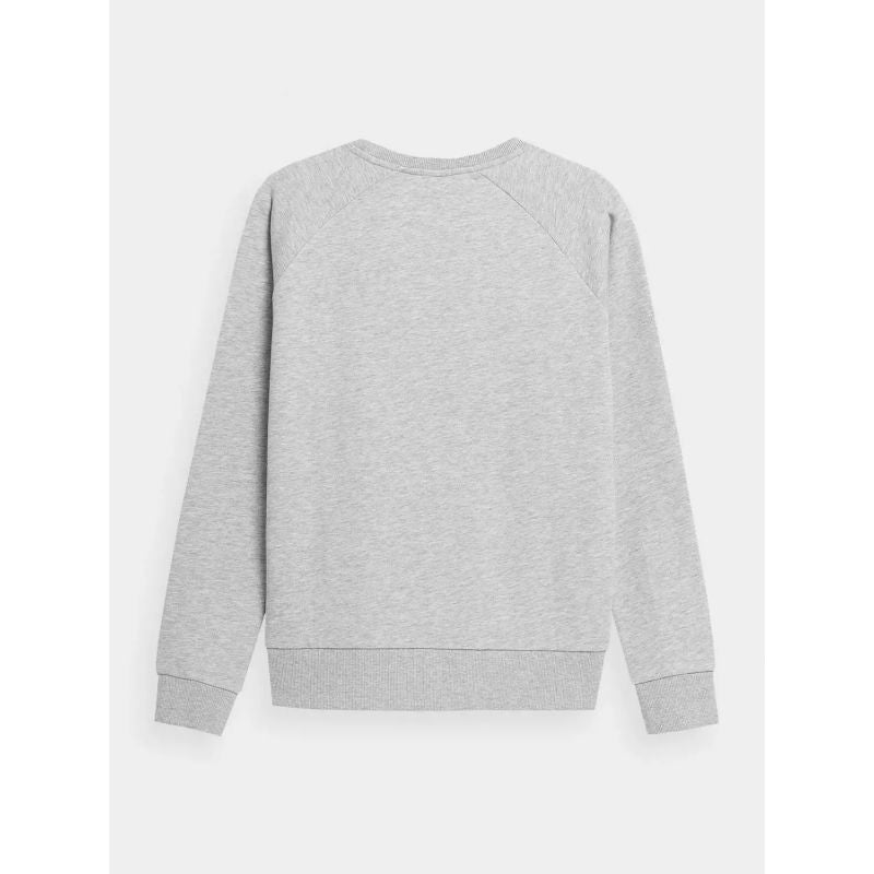 Sweatshirt 4F W 4FSS23TSWSF370-27M Clothing/Lifestyle/4F 4F