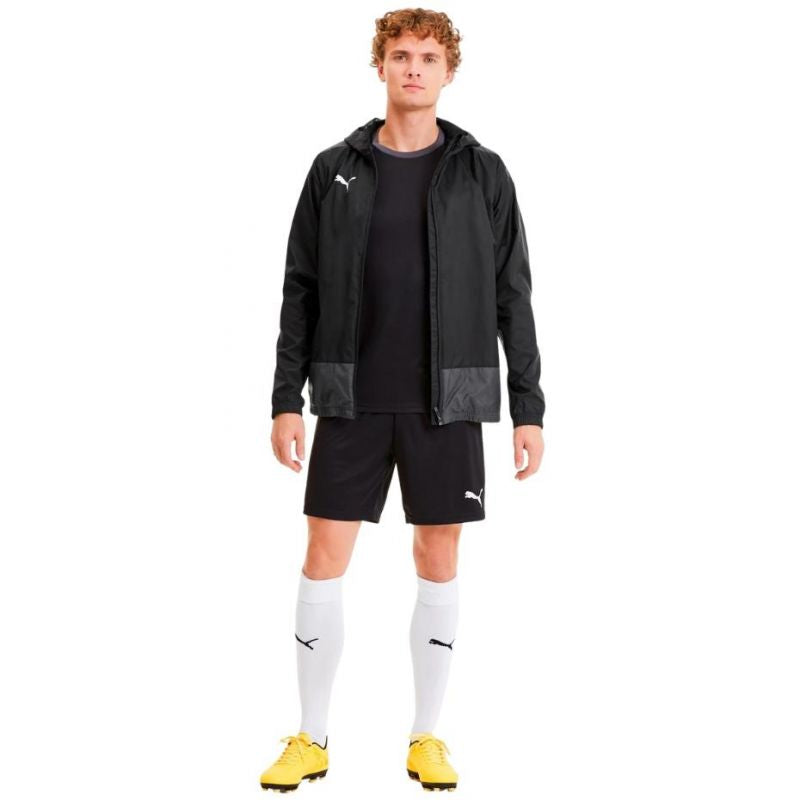 Puma teamGOAL 23 Training M 656559 03 Clothing/Outdoor Puma