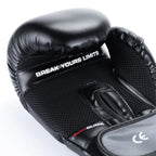 10oz Boxing Gloves - Eclipse - Origin Series rękawice treningowe Your Sports Performance
