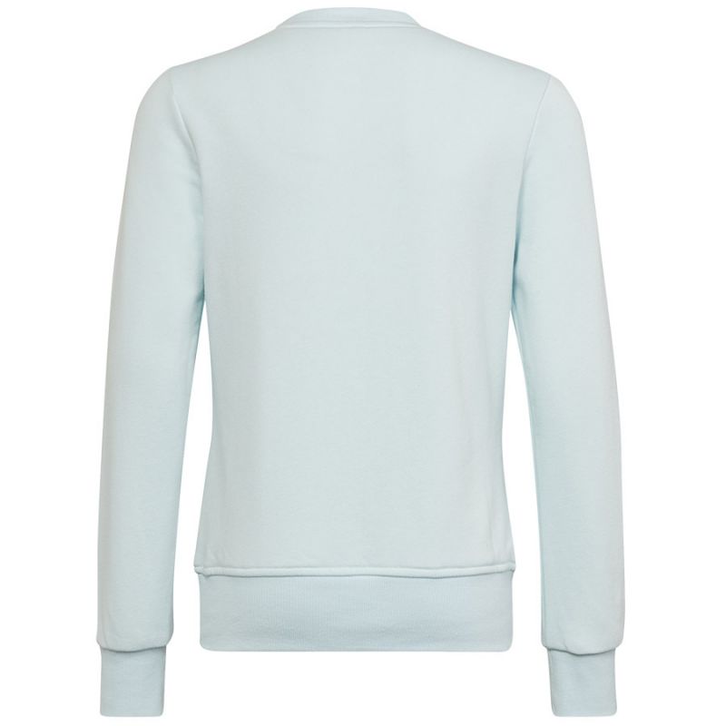 Sweatshirt adidas Big Logo Swt Jr HM8707 Clothing/Training Adidas
