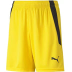 Puma teamLIGA Shorts Jr 704931 07 Clothing/Football Your Sports Performance