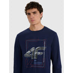 Men's longsleeve regular with print 4F 4FRAW25TLONM606-31S