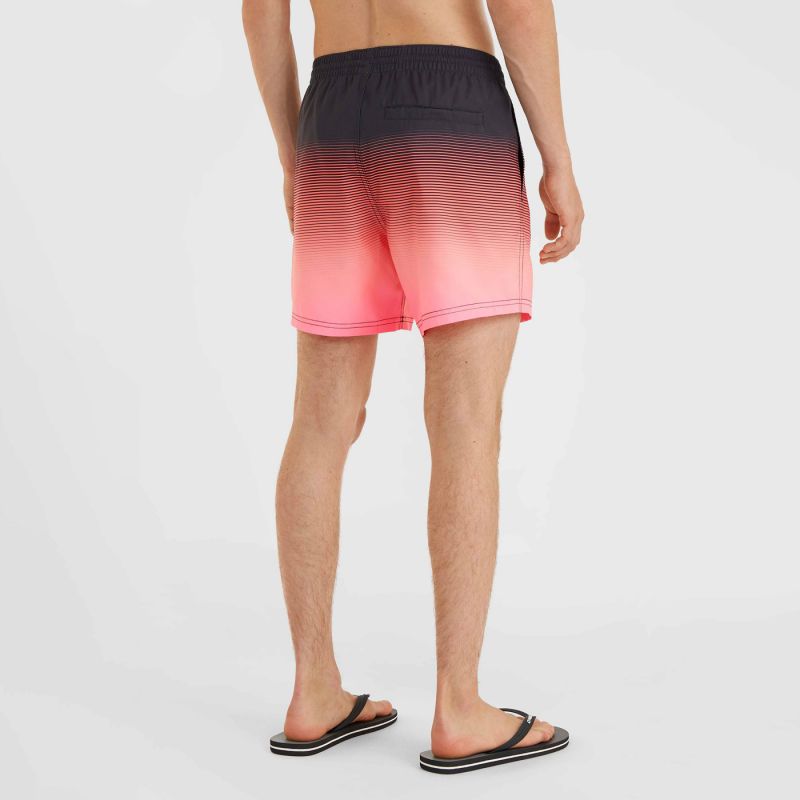 O'Neill Jack Cali Gradient 15'' Swim Shorts M 92800613579 Clothing/Swimming/ONeill Your Sports Performance
