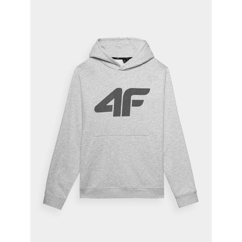 Men's sweatshirt with hood, open, 4F 4FWMM00TSWSM1464-27M *Kategoria tymczasowa Your Sports Performance
