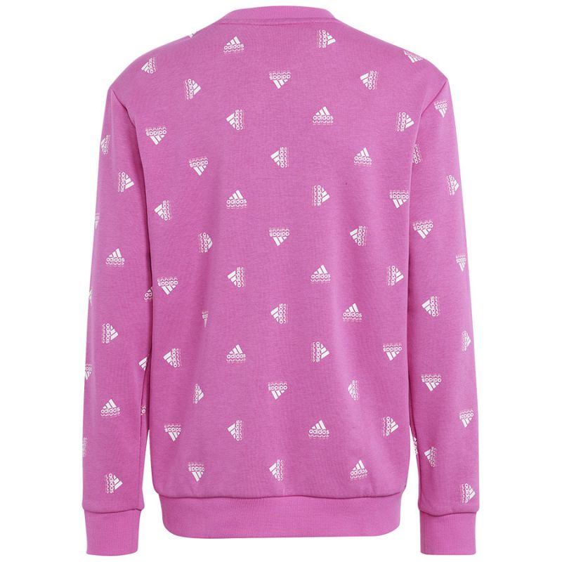 Sweatshirt adidas Bluv Swt Jr IC5573 Clothing/Lifestyle Adidas