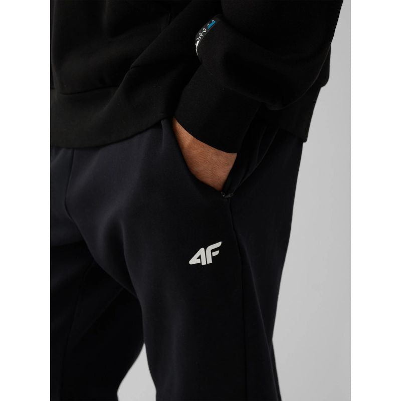 Men's jogger sweatpants 4F 4FRAW26TTROM2175-20S