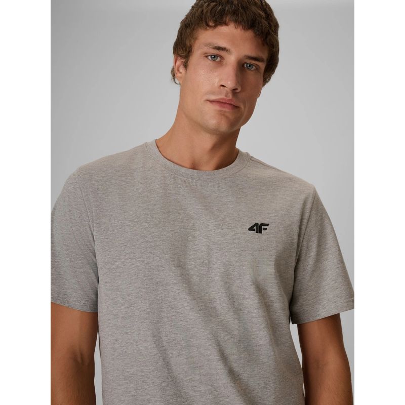 Men's regular plain T-shirt 4F 4FRMM00TTSHM4192-27M