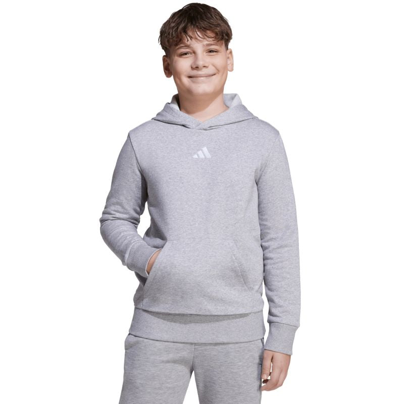 adidas Essentials Hoodie for kids gray JV9995 To be categorized Your Sports Performance