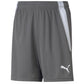 Puma teamLIGA Shorts Jr 704931 13 Clothing/Football Your Sports Performance
