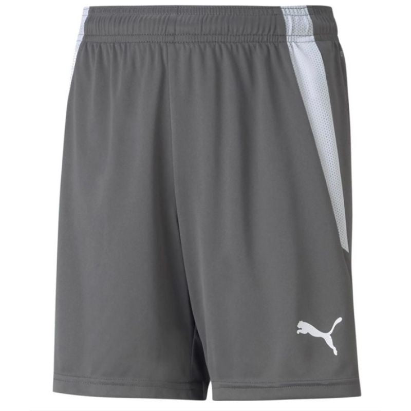 Puma teamLIGA Shorts Jr 704931 13 Clothing/Football Your Sports Performance