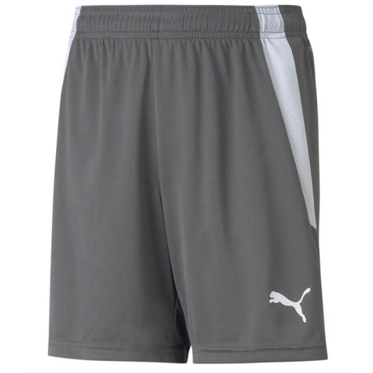 Puma teamLIGA Shorts Jr 704931 13 Clothing/Football Your Sports Performance
