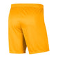 Nike Dry Park III M BV6855-739 shorts Clothing/Football Nike