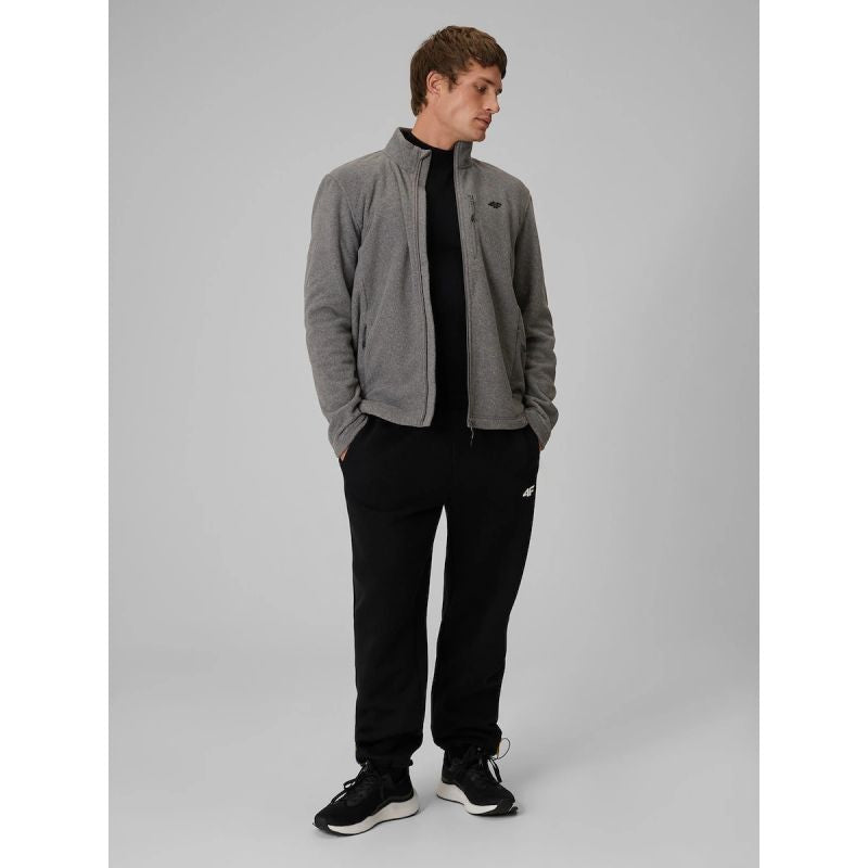 Regular men's fleece with stand-up collar 4F 4FRAW26TFLEM542-24M
