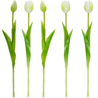 BOUQUET OF 5 WHITE TULIPS 39 CM LIFE-LIKE SPRING DECORATION Home and Garden/Equipment Your Sports Performance
