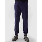 Pants 4F M 4FWSS24TTROM646-31S Clothing/Lifestyle/Trousers, shorts/4F 4F