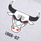 Mitchell & Ness Pinnacle Heavyweight Fleece NBA Chicago Bulls Hoodie Odzież/Odzież na co dzień Your Sports Performance