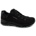 Lowa Men's Renegade EVO GORE-TEX Sports Leather Hiking Shoes