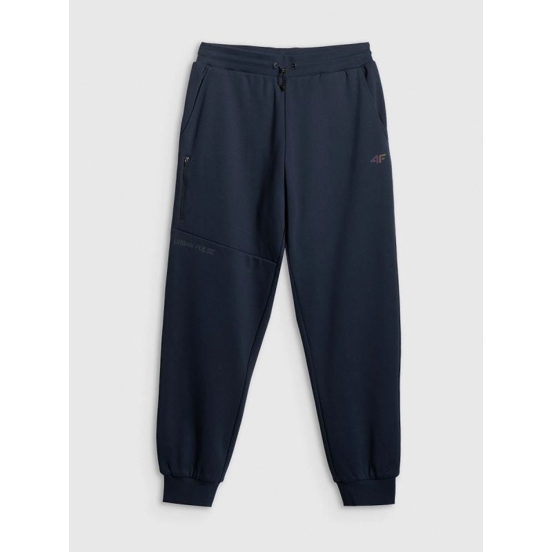 Men's jogger sweatpants 4F 4FRSS26TTROM1861-31S 4f