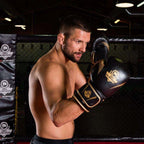 10oz Boxing Gloves - Aureos - Valor Series rękawice treningowe Your Sports Performance