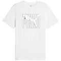 Puma ESS+ LOGO LAB Holiday Tee M 675922 02 Clothing/Lifestyle/T-shirts Puma