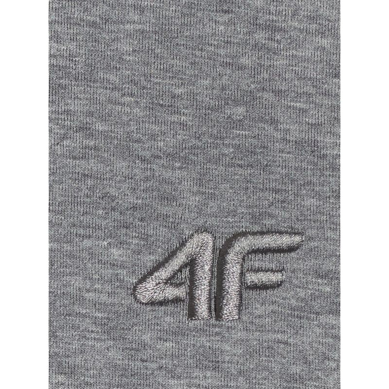 Men's regular hooded sweatshirt 4F 4FRSS26TSWSM2793-24M 4f