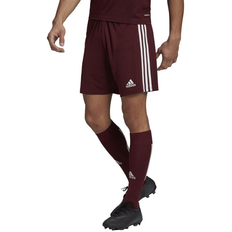 Adidas Squadra 21 Short M GN8083 Clothing/Football Adidas