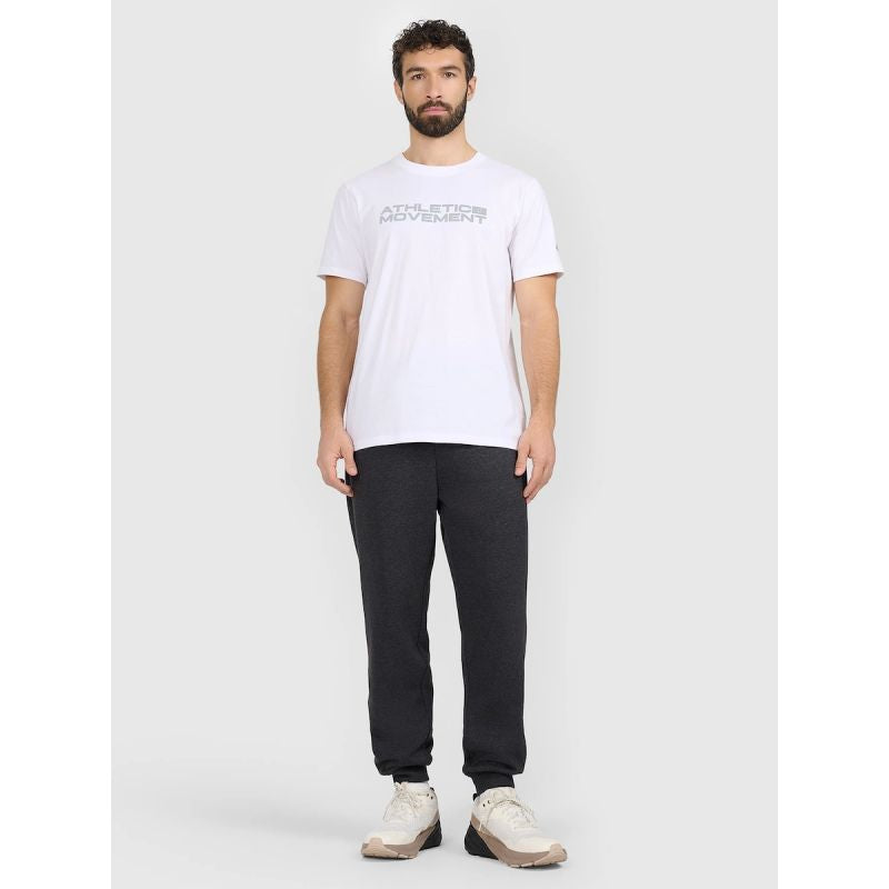 Men's regular printed T-shirt 4F 4FRAW25TTSHM3384-10S 4f