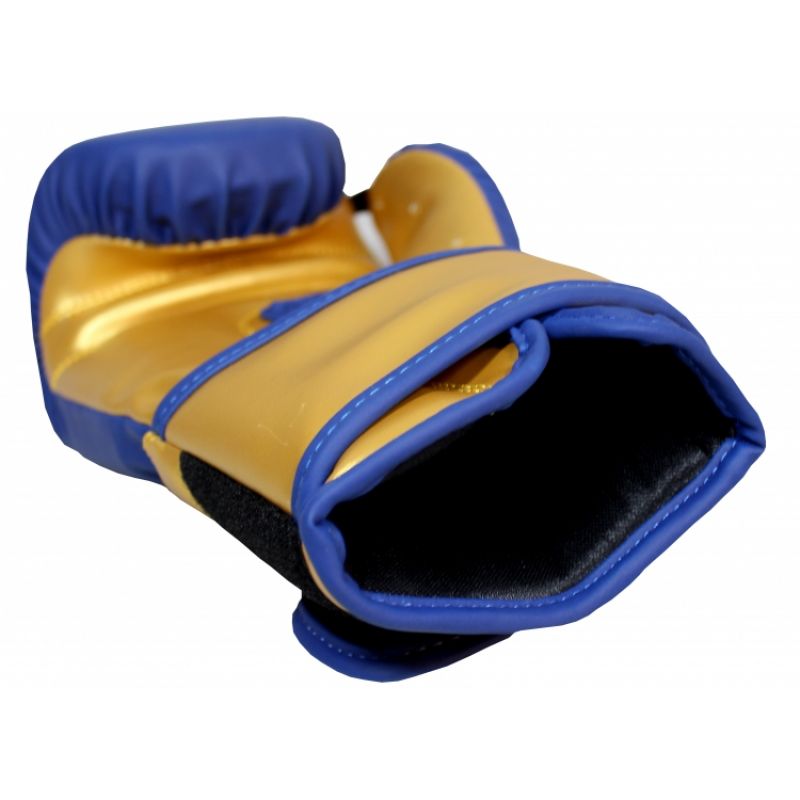Masters Boxing Gloves RPU-COLOR/GOLD 10 oz 01439-0210 Accessories/Gloves Your Sports Performance