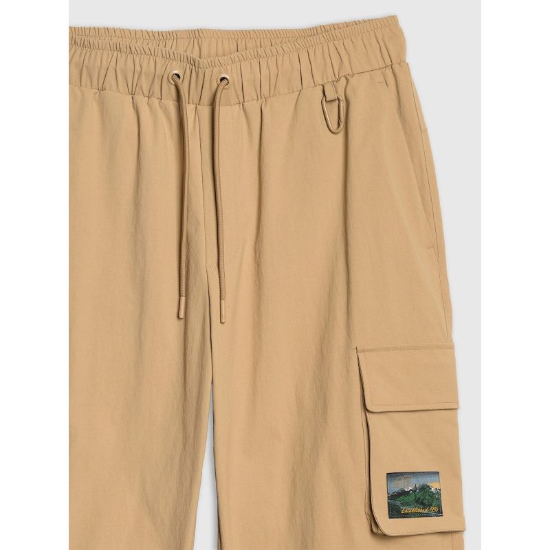 Men's casual cargo pants 4F 4FRAW25TTROM1690-83S 4f